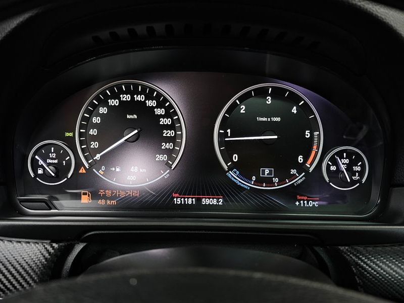 2013 BMW 5 Series 525d photo 8