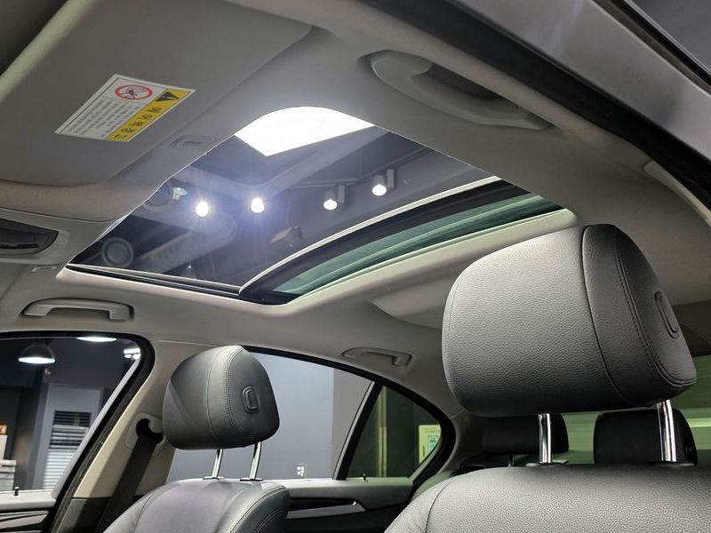 2014 BMW 5 Series 520d Luxury photo 17