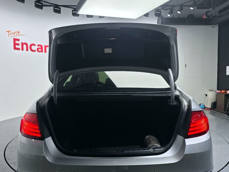 2014 BMW 5 Series 520d Luxury photo 20