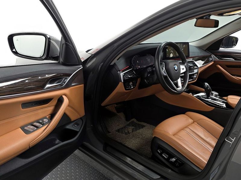 2021 BMW 5 Series 520i Luxury photo 10