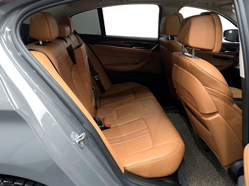 2021 BMW 5 Series 520i Luxury photo 12