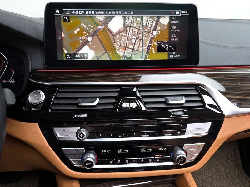 2021 BMW 5 Series 520i Luxury photo 14