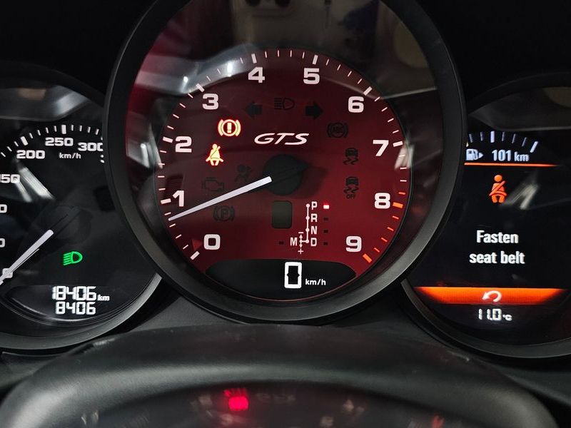 2023 Porsche 718 4.0 GTS photo 8