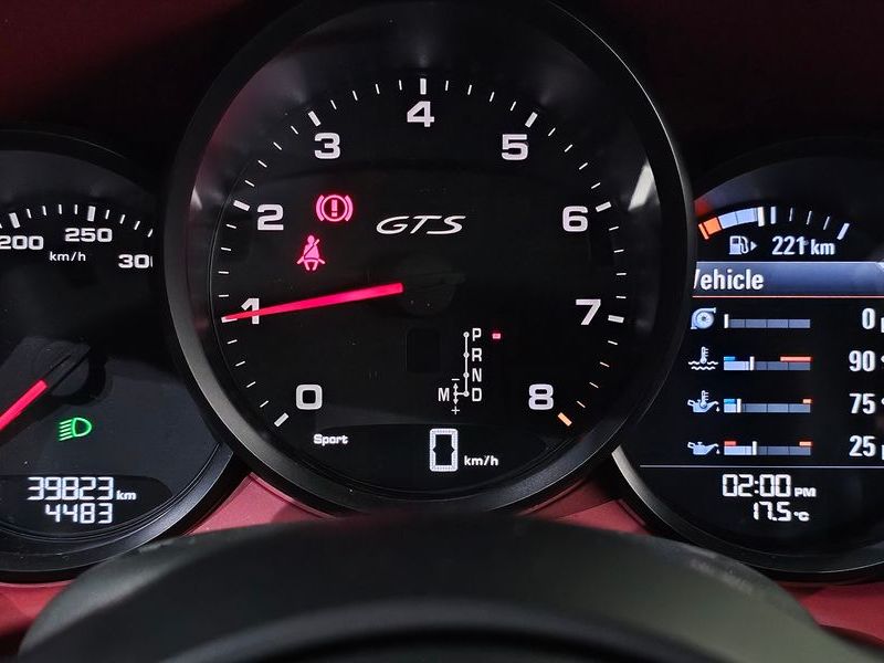 2019 Porsche 718 2.5 GTS photo 8