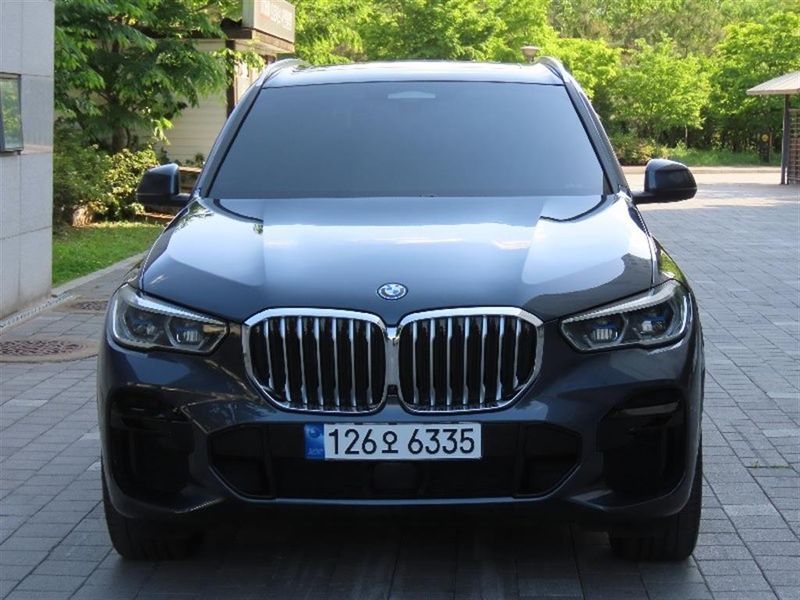 2022 BMW X5 xDrive 45e M Sport photo 1