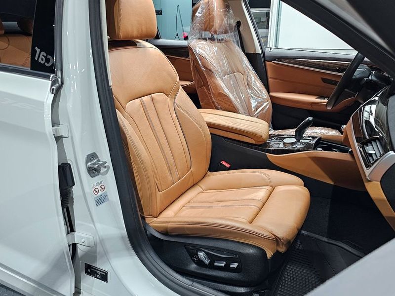 2021 BMW 5 Series 520i Luxury photo 10