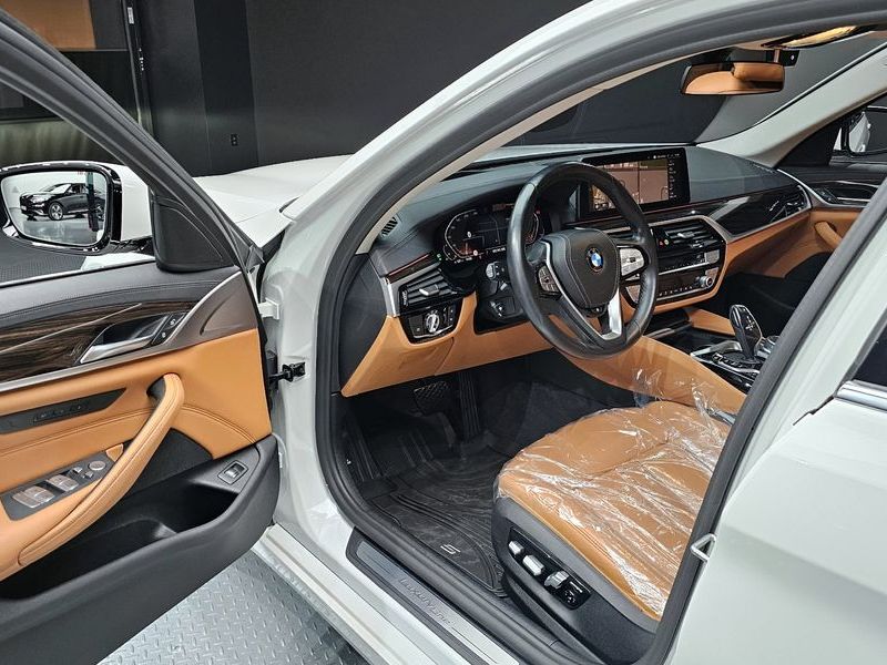 2021 BMW 5 Series 520i Luxury photo 11