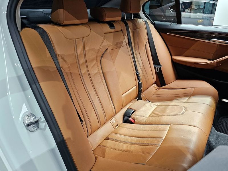 2021 BMW 5 Series 520i Luxury photo 12