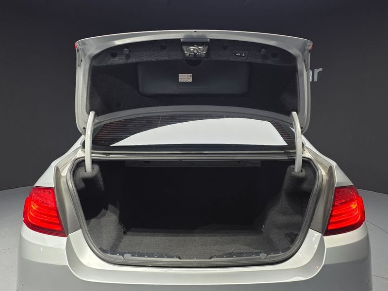 2014 BMW 5 Series 520d xDrive Luxury photo 19