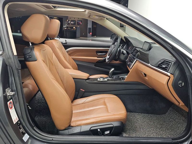 2014 BMW 4 Series 420d Luxury Coupe photo 12