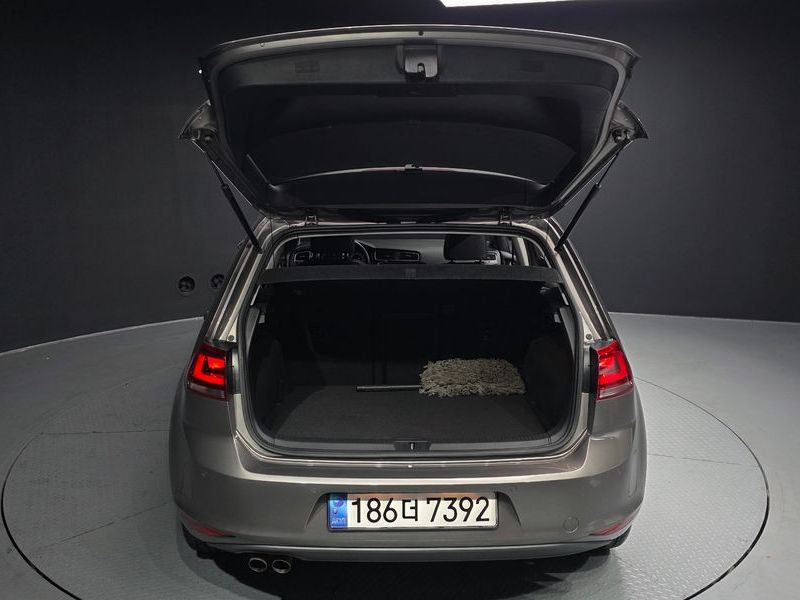 2014 Volkswagen Golf 2.0 TDI Premium photo 20