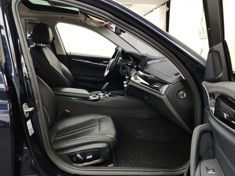 2019 BMW 5 Series 520i Luxury photo 11