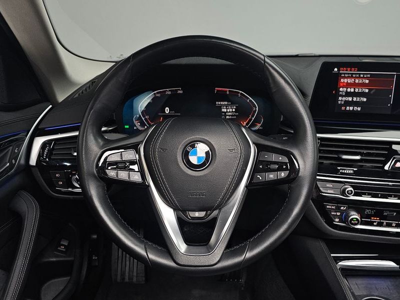 2020 BMW 5 Series 520i Luxury photo 14