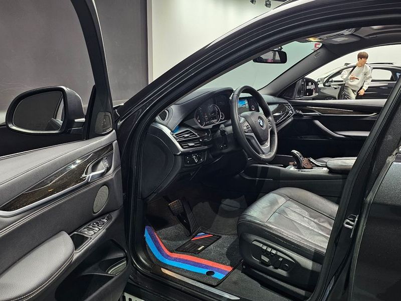 2017 BMW X6 xDrive 30d photo 10