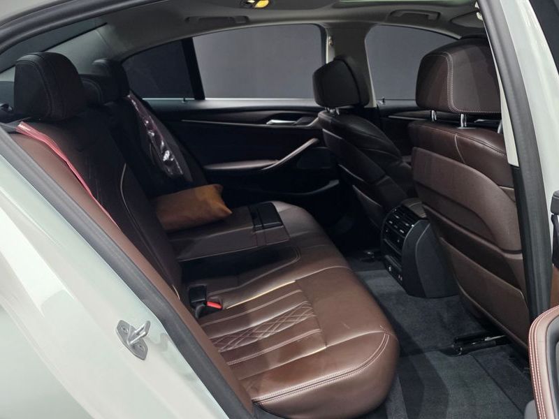 2020 BMW 5 Series 520d xDrive Luxury Plus photo 12