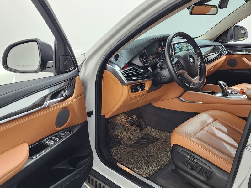 2018 BMW X6 xDrive 30d photo 10
