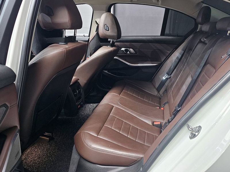 2019 BMW 3 Series 320d xDrive Luxury photo 11