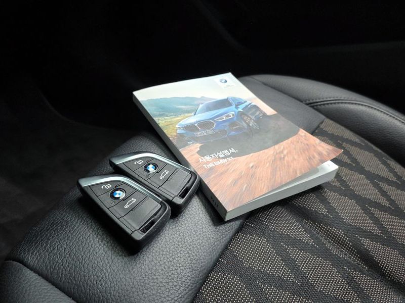 2021 BMW X1 xDrive 18d xLine photo 18