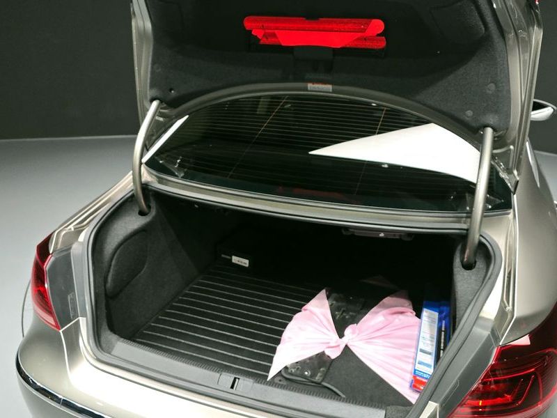 2015 Volkswagen New CC 2.0 TDI BlueMotion photo 20
