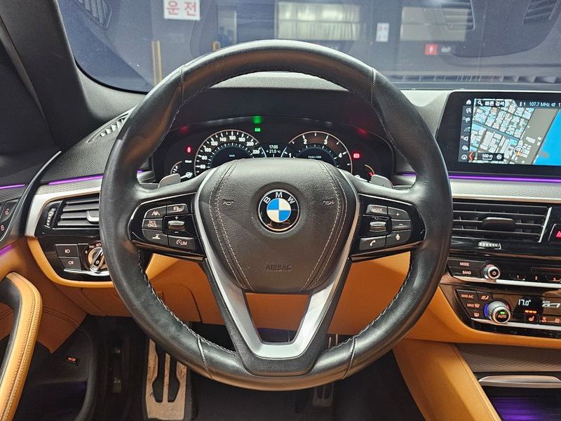 2018 BMW 5 Series 520d M Sport Special Edition photo 13
