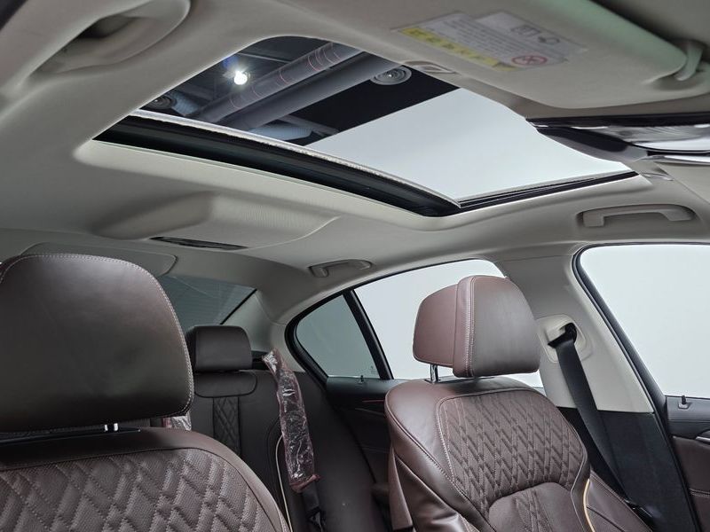 2020 BMW 5 Series 520d xDrive Luxury Plus photo 13