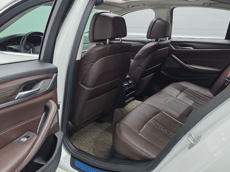 2020 BMW 5 Series 520d xDrive Luxury Plus photo 26
