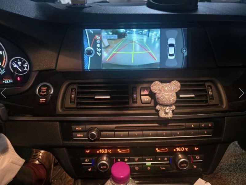 2012 BMW 5 Series 520d photo 12