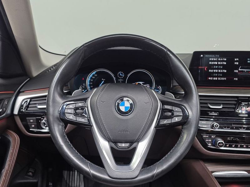 2018 BMW 5 Series 520d Luxury Plus photo 13