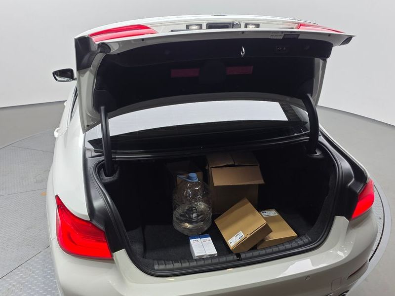 2018 BMW 5 Series 520d Luxury Plus photo 27