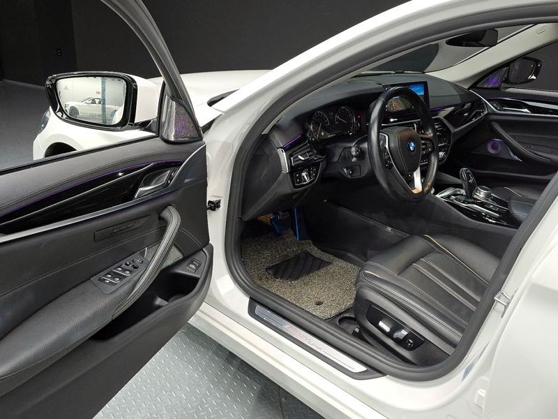 2018 BMW 5 Series 520i Luxury photo 10