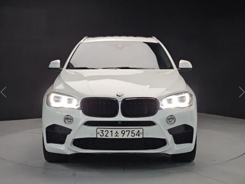 2016 BMW X6 xDrive 30d photo 1