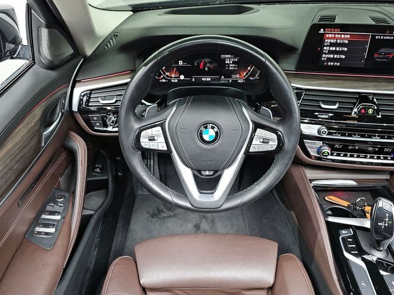 2020 BMW 5 Series 530i Luxury Plus photo 13