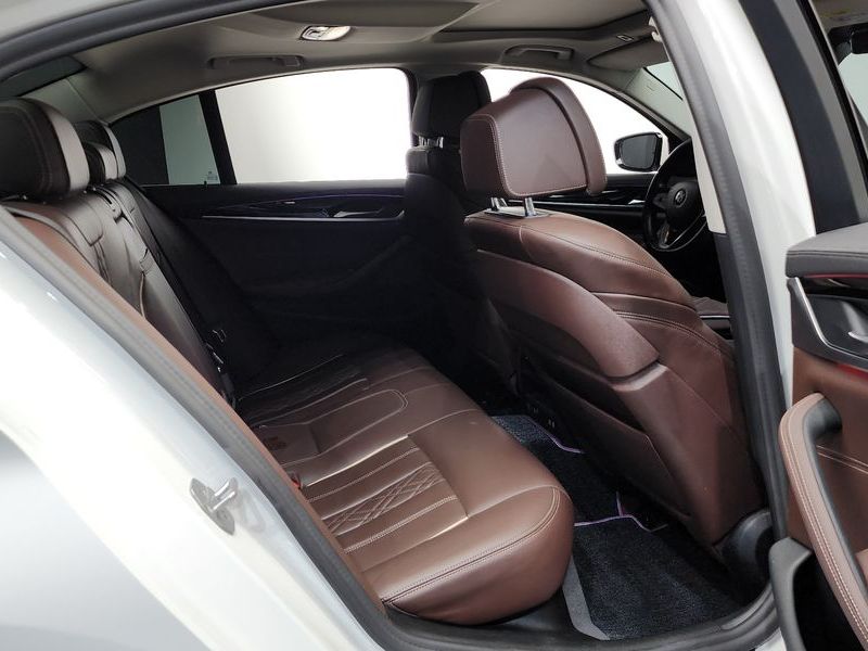 2021 BMW 5 Series 523d Luxury photo 12