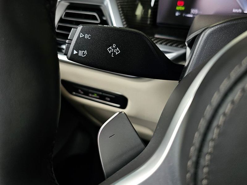 2025 BMW X7 xDrive 40i M Sport 7STR photo 29