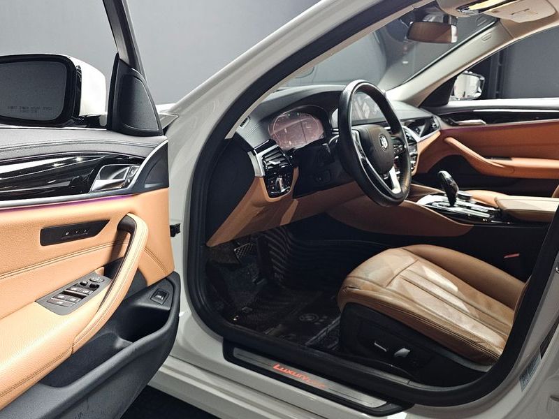 2020 BMW 5 Series 520i Luxury photo 10