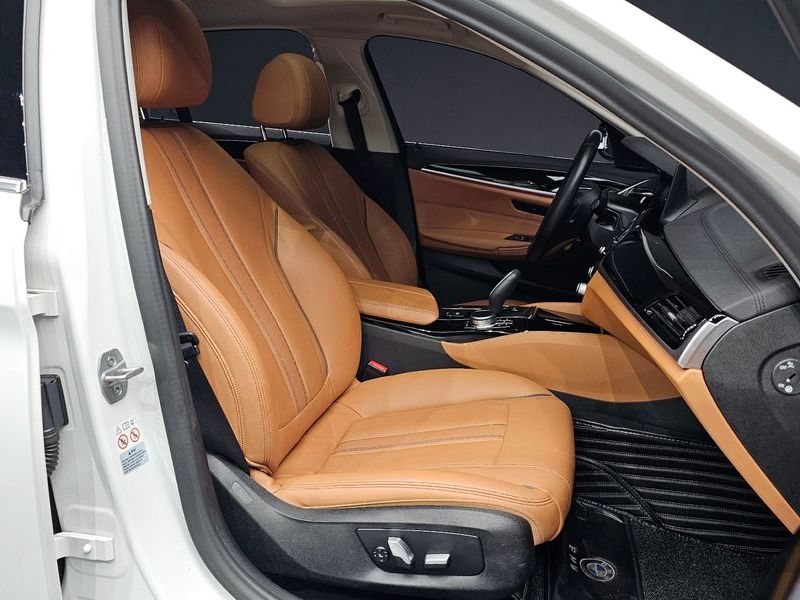 2020 BMW 5 Series 520i Luxury photo 11