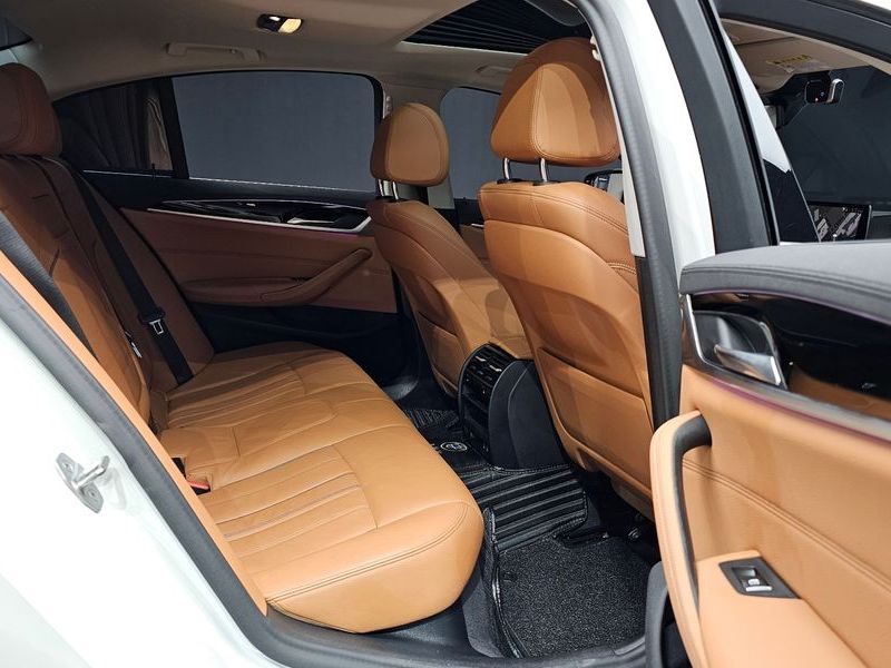 2020 BMW 5 Series 520i Luxury photo 12