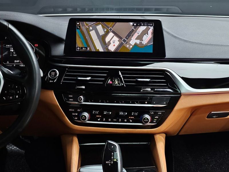 2020 BMW 5 Series 520i Luxury photo 15
