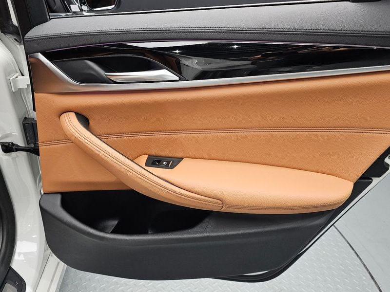2020 BMW 5 Series 520i Luxury photo 25