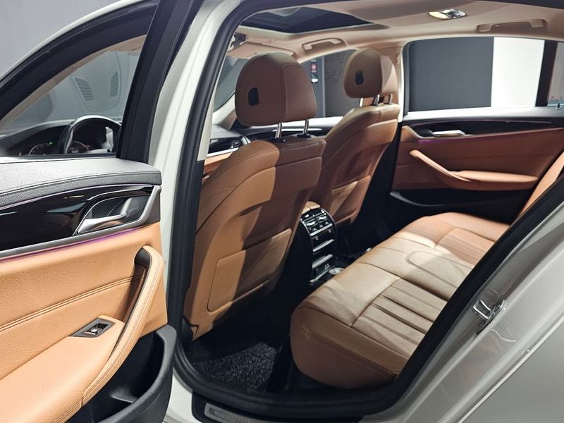 2020 BMW 5 Series 520i Luxury photo 26