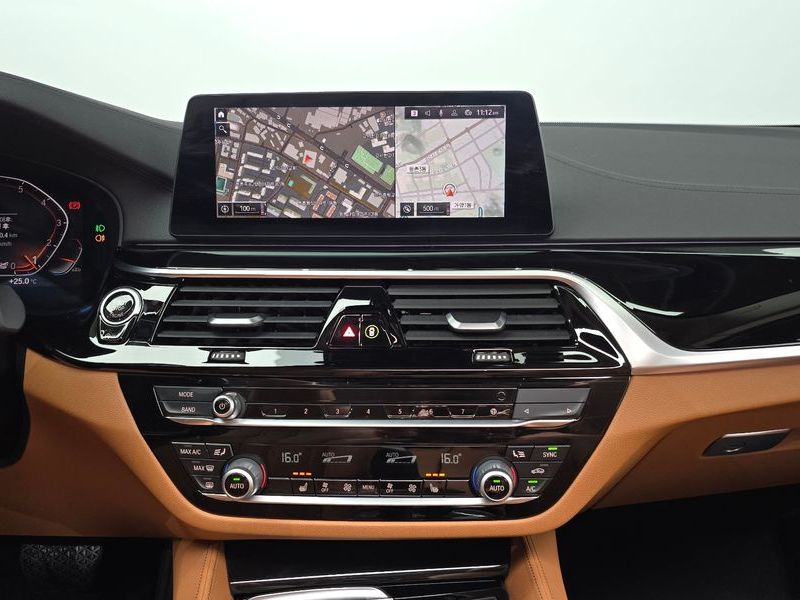 2020 BMW 5 Series 520i Luxury photo 13