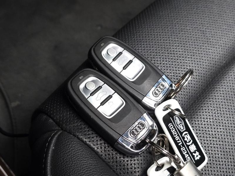 2013 Audi A5 2.0 TDI Quattro dynamic Sportback 8TA photo 18