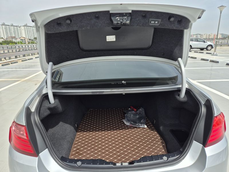 2014 BMW 5 Series 520d photo 12
