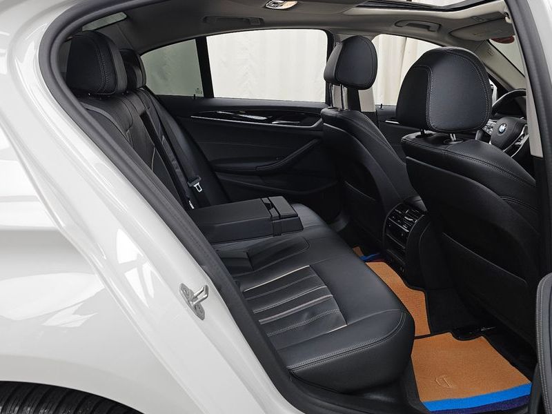 2020 BMW 5 Series 520i Luxury photo 12