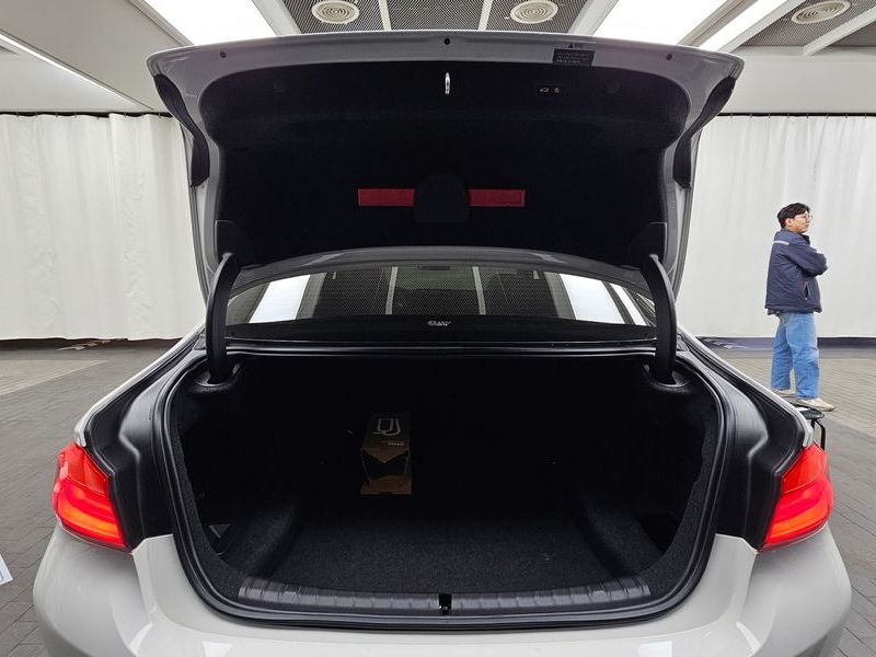 2020 BMW 5 Series 520i Luxury photo 20