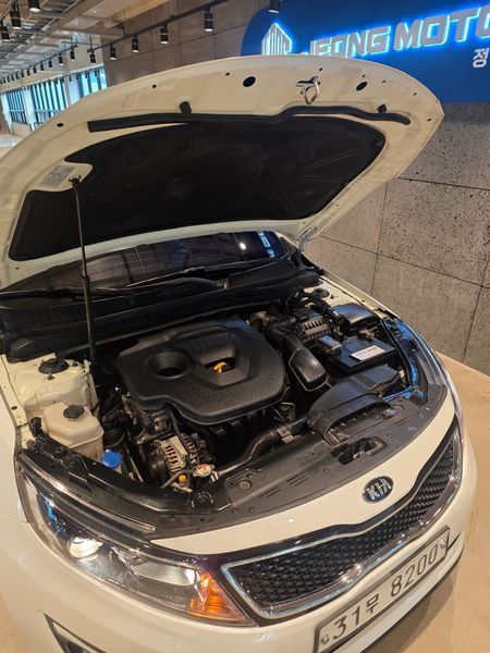 2015 Kia K5 Luxury Trendy photo 8